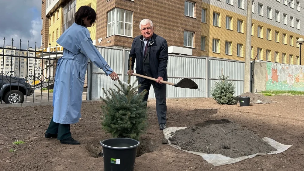 Мэр Брянска Александр Макаров высадил вместе с прокурорами голубые ели