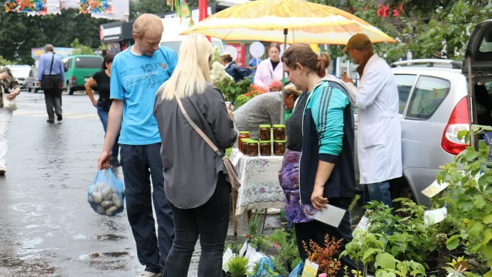 Жителям Брянска предложили картофель по цене 10 рублей за килограмм