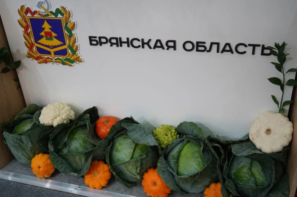 Брянская область за 8 месяцев произвела продукции сельского хозяйства на  99,1 млрд