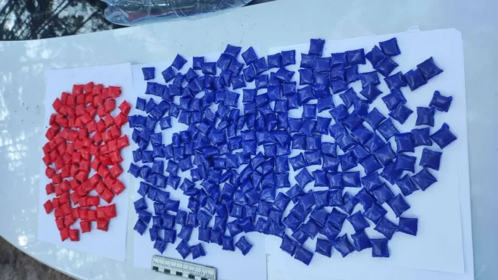 В Брянской области арестовали наркопреступника с 345 свертками метадона и гашина