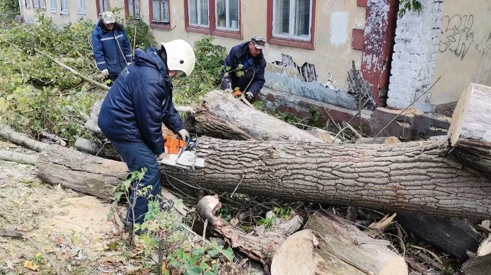 В Брянске аварийные службы получили более 90 заявок после бушевавшего урагана