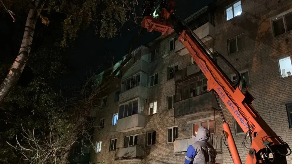 В Брянске убрали рухнувшую на многоквартирный дом огромную ветку