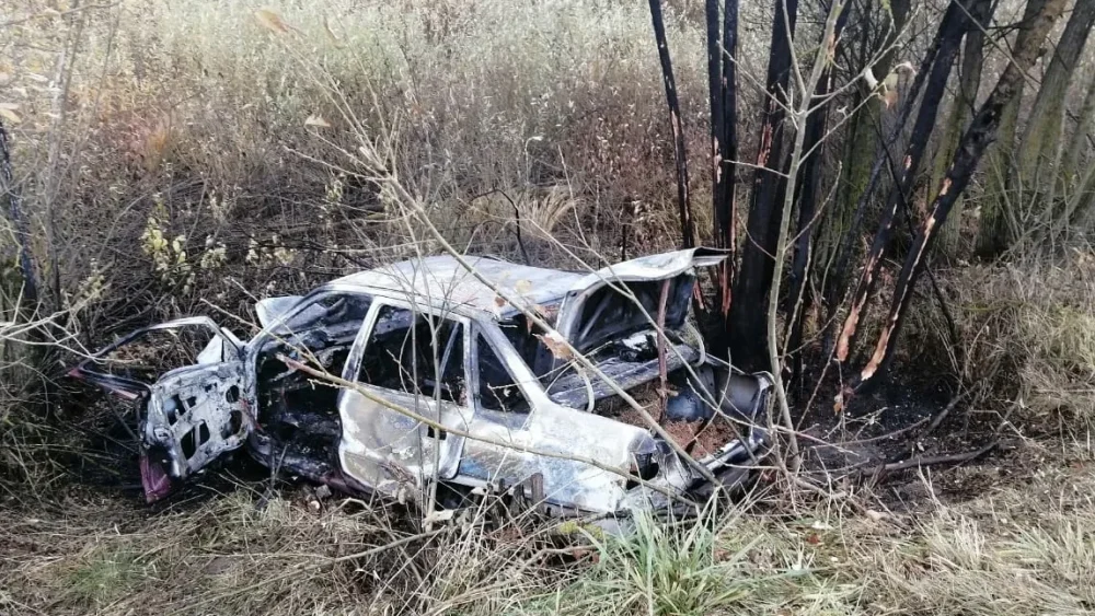 В Брянской области водитель заживо сгорел в слетевшем с дороги автомобиле