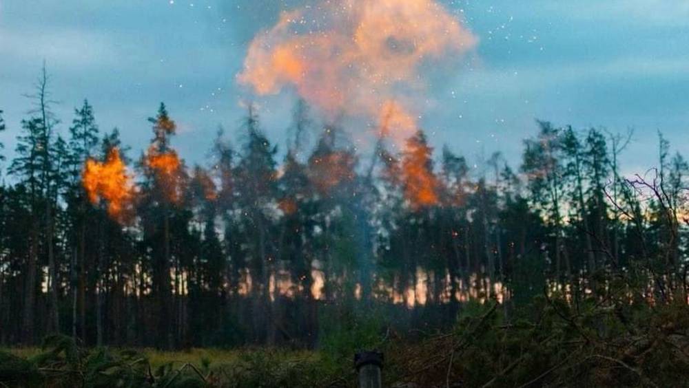 После обстрела со стороны Украины села Новая Погощь Суземского района атаки усилились