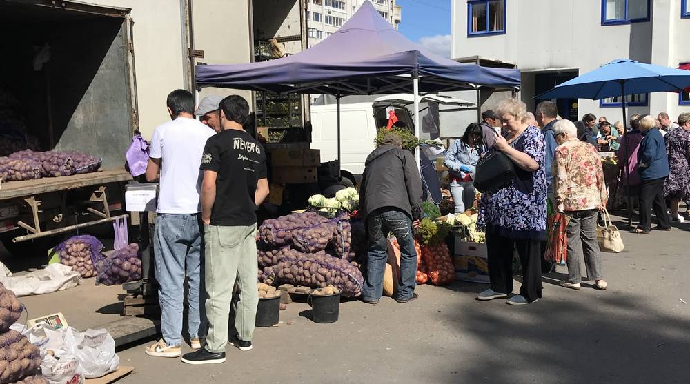Жителям Брянска предложили картофель по цене 10 рублей за килограмм