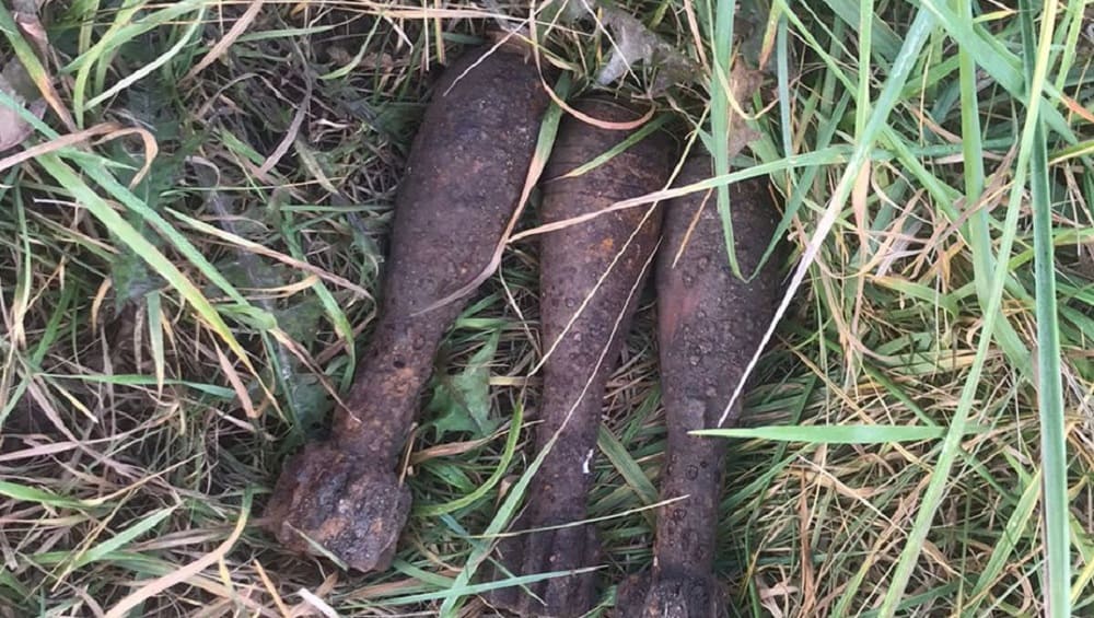 Под Дятьковом Брянской области в лесу обнаружили три мины
