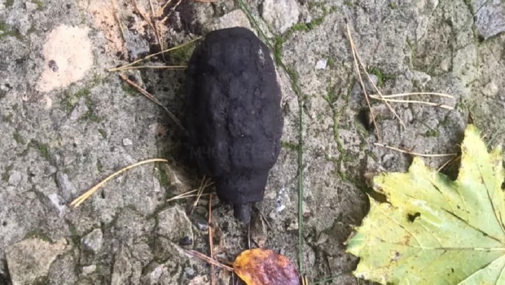 В Навлинском районе Брянской области местных жителей напугала найденная граната
