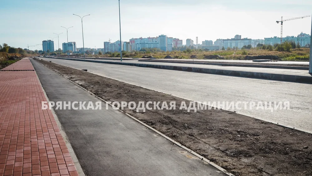 В Советском районе Брянске уникальную улицу Ильи Иванова откроют в 2024 году