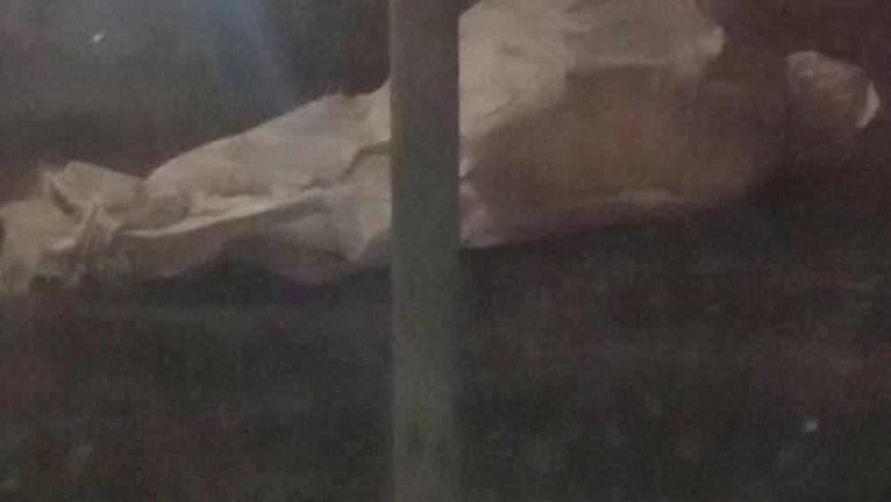 Жители Брянска обнаружили на улице «мешок с телом»