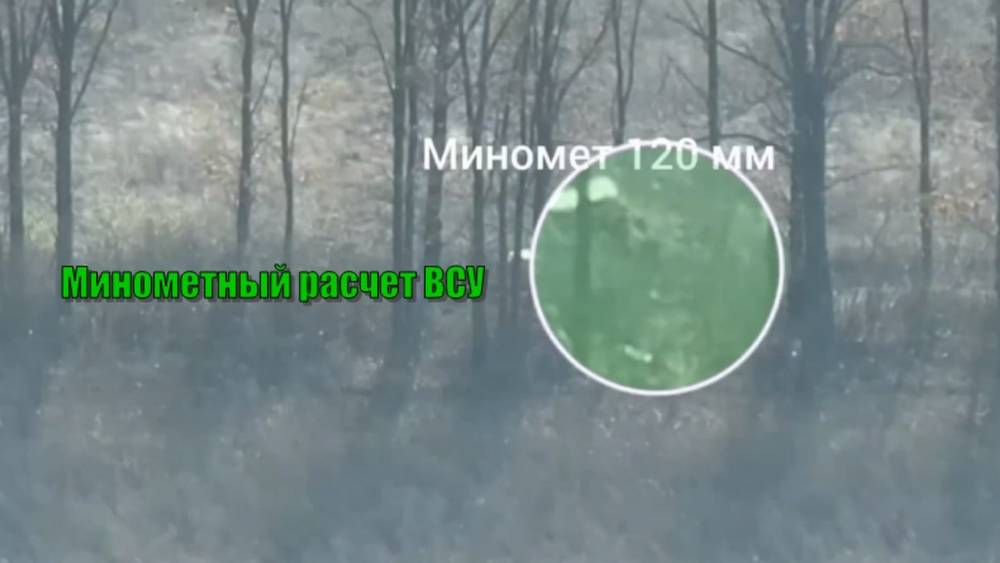 Кадры происходящего вблизи брянской границы огорчили нацистов