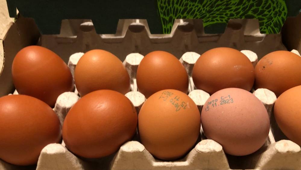 В брянских магазинах цены на яйца остаются высокими