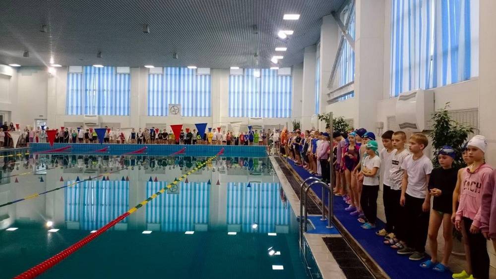Разовое посещение большого бассейна в ФОК «Бежица» в Брянске составит 310 рублей