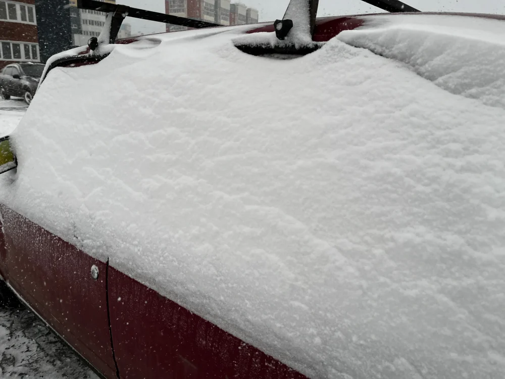 Житель Брянской области получит страховую выплату из-за сильного снегопада