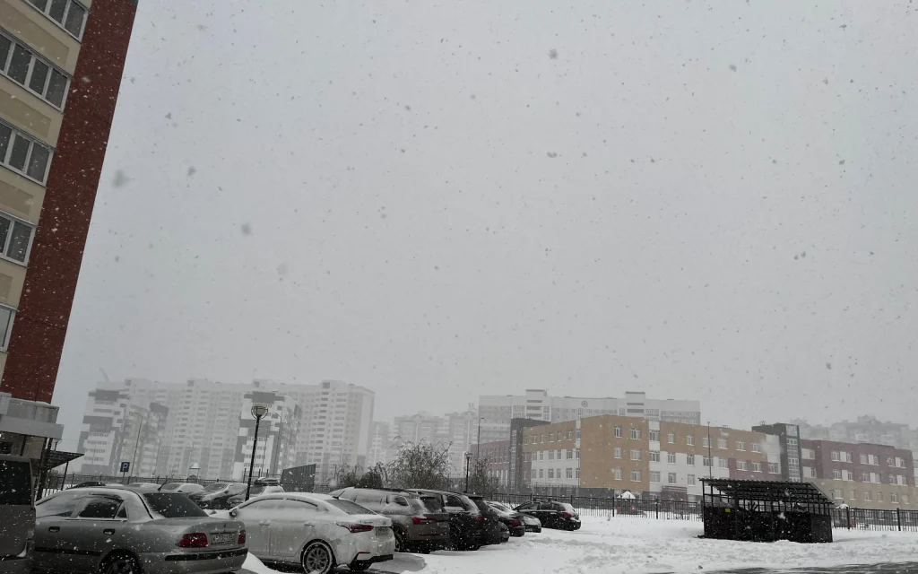 Брянск в конце ноября засыпало снегом