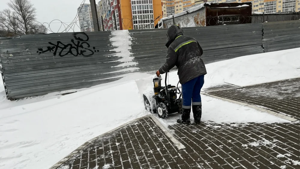 Депутат Госдумы пояснила, почему брянцы должны помогать дворникам убирать снег