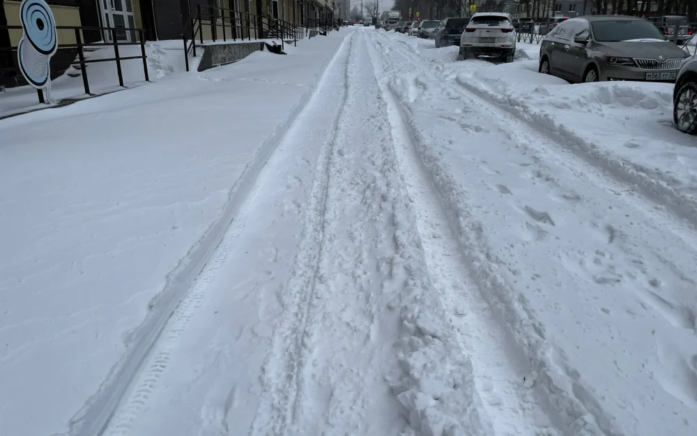 В Брянске из-за мощных снегопадов отменили «Мандариновые бега»