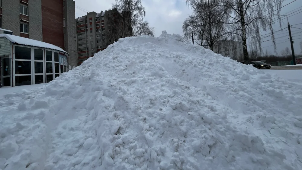 В 23 брянских муниципалитетах чиновников накажут за невывоз снега на спецплощадки