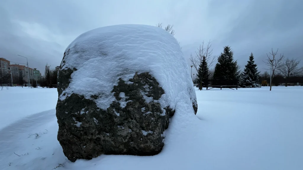В Брянской области МЧС предупредило о сильном ветре и мощных снегопадах 15 декабря