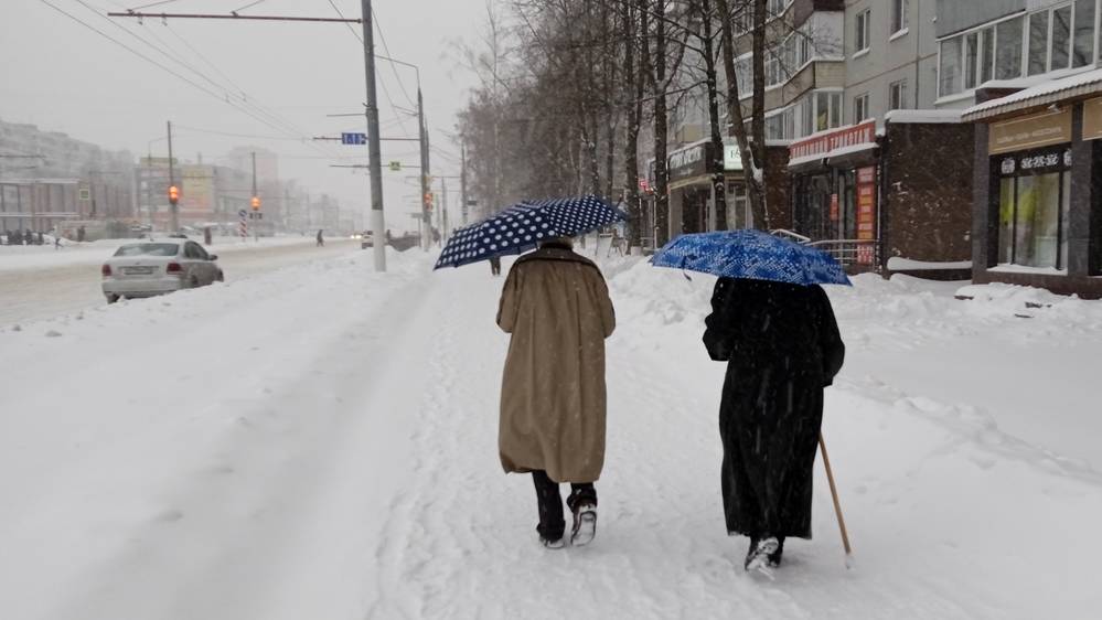 День лодыря в Брянске: итоги первого дня со снегом