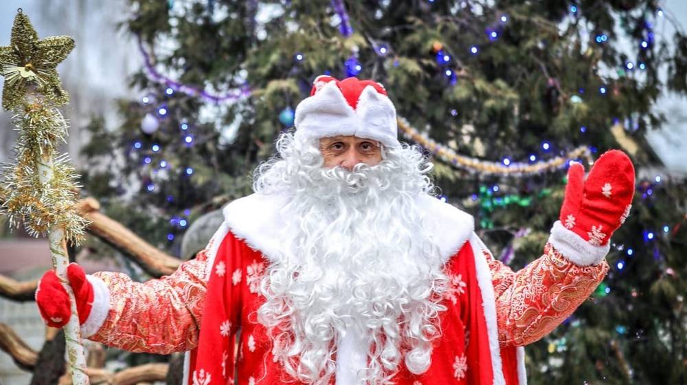 В брянском парке сказок «Тридевятое Царство» установили новогоднюю ель