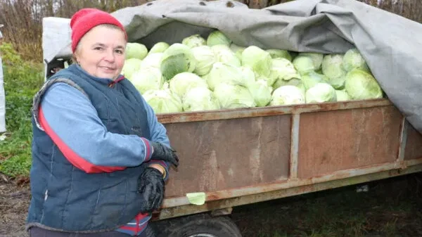 Стародубские фермеры приняли участие в ярмарках выходного дня в Брянске