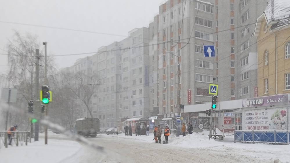 День лодыря в Брянске: итоги первого дня со снегом