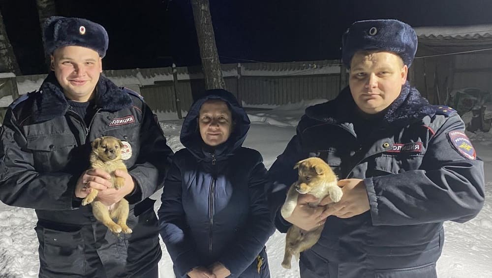 В Новозыбковском районе участковые спасли от гибели брошенных на морозе щенков