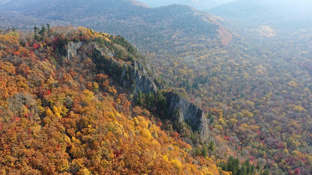 Брянский путешественник Игорь Шпиленок прошел эпицентр многоцветья