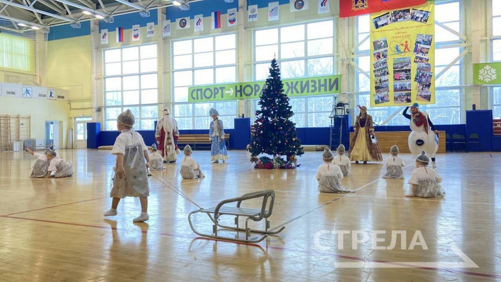 В Брянске для детей провели «Новогодний бал»