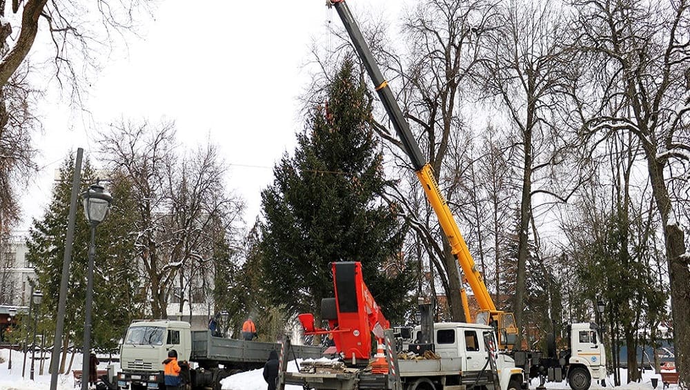 В Круглом сквере Брянска 8 декабря установили 31-летнюю новогоднюю ёлку