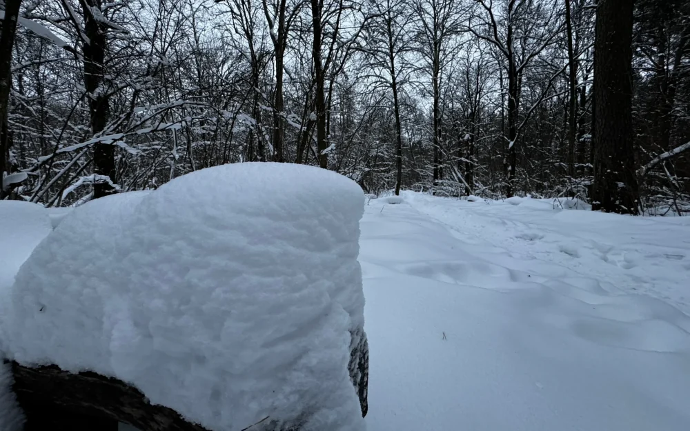 Спасатели предупредили жителей Брянской области о рекордном снегопаде 14-15 декабря