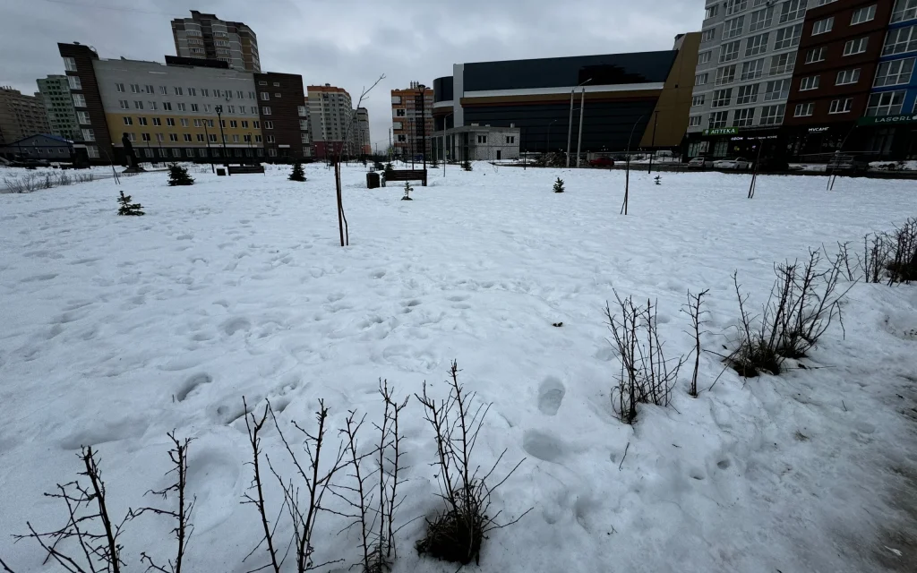 Резкое потепление в Брянска обернулось неожиданным «минированием» города