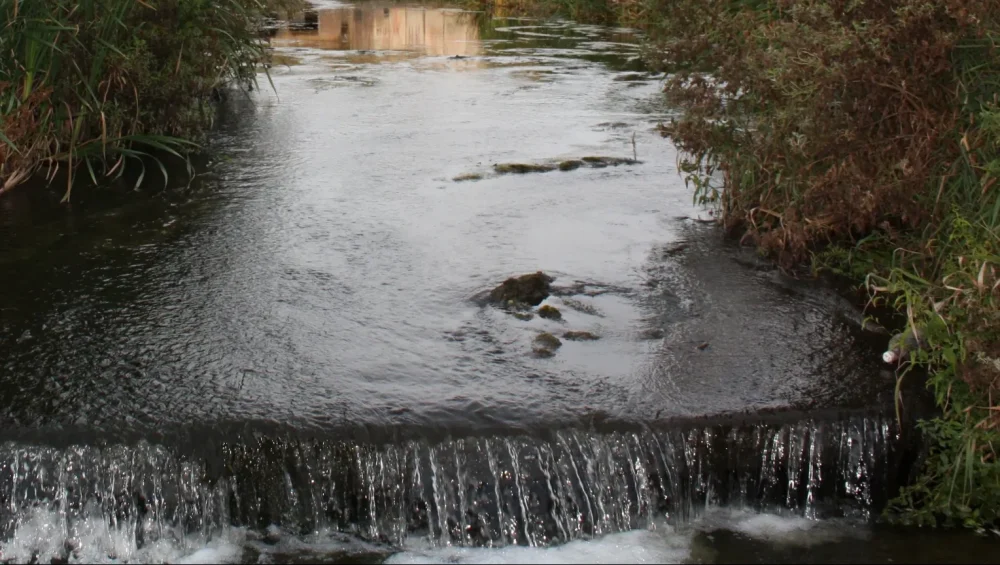 В Брянске прокуратура вернула в собственность государства присвоенный участок с ручьем