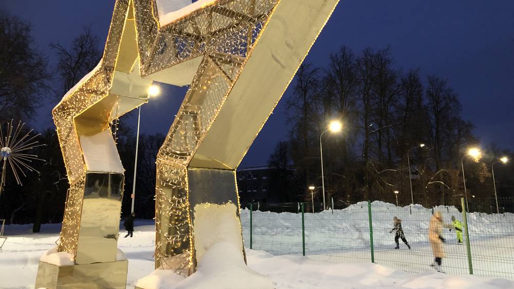 Ледовые катки в Брянске отдалили детей от телефонов