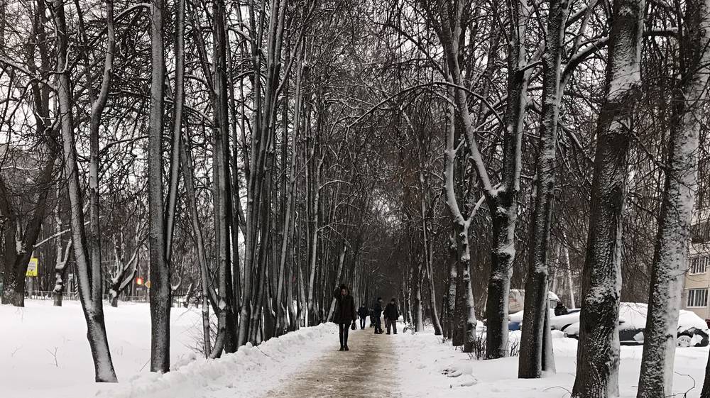 В Брянской области 22 декабря пройдут дожди при 5 градусах тепла
