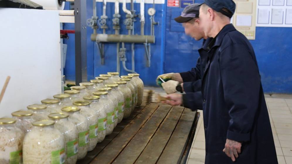 В Брянской области КП-3 выпущено консервированной продукции почти на 27 миллионов рублей