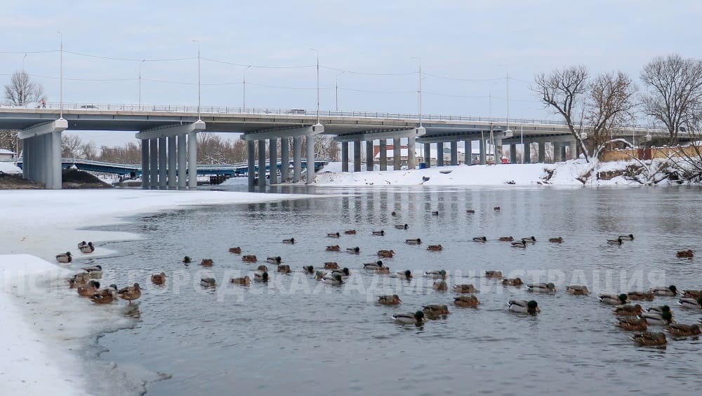 В Брянске губернатор Богомаз 5 декабря открыл движение транспорта по Славянскому мосту