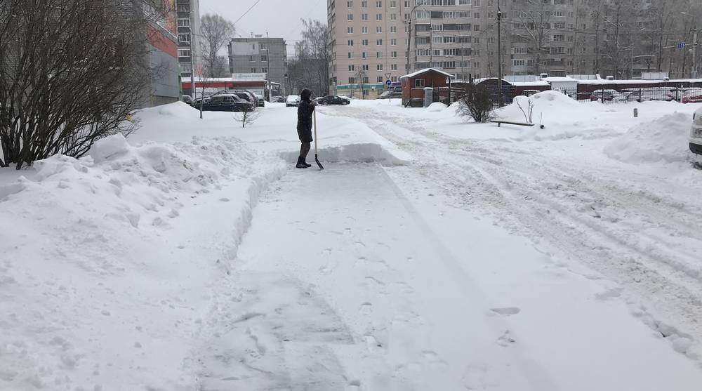 С помощью добрых дел и лопаты жительница Брянска сохранила фигуру гимнастки в 71 год