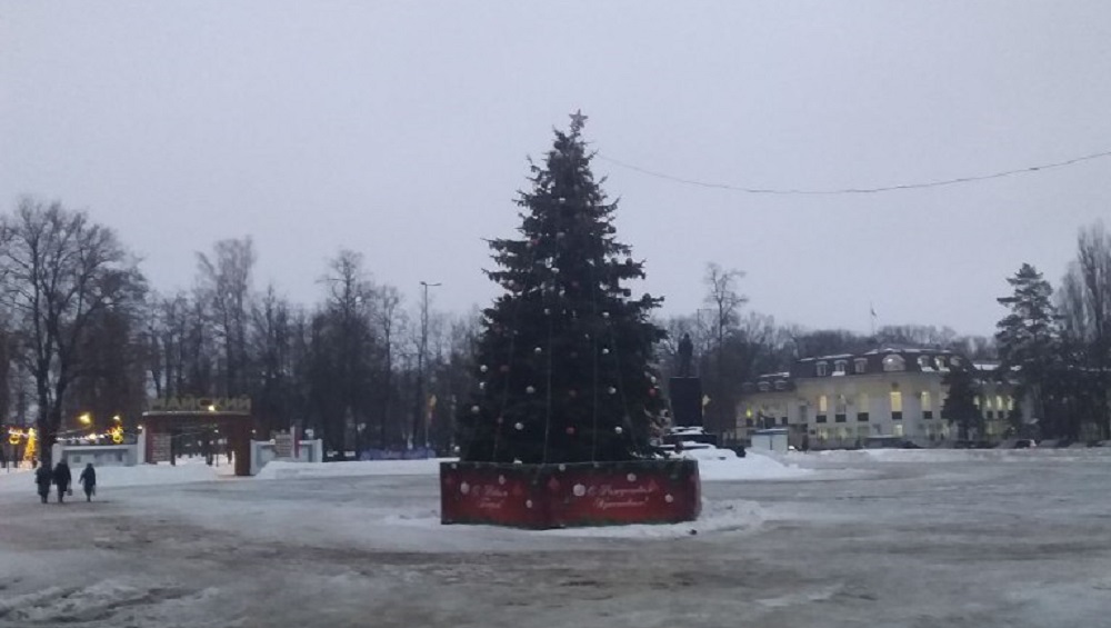 В Бежицком районе Брянска на установленной возле ДК БМЗ ёлке зажгли новогодние огни