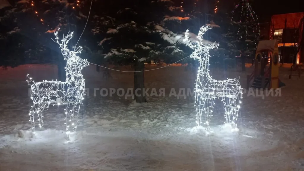 В Володарском районе Брянска появились изумительные олени