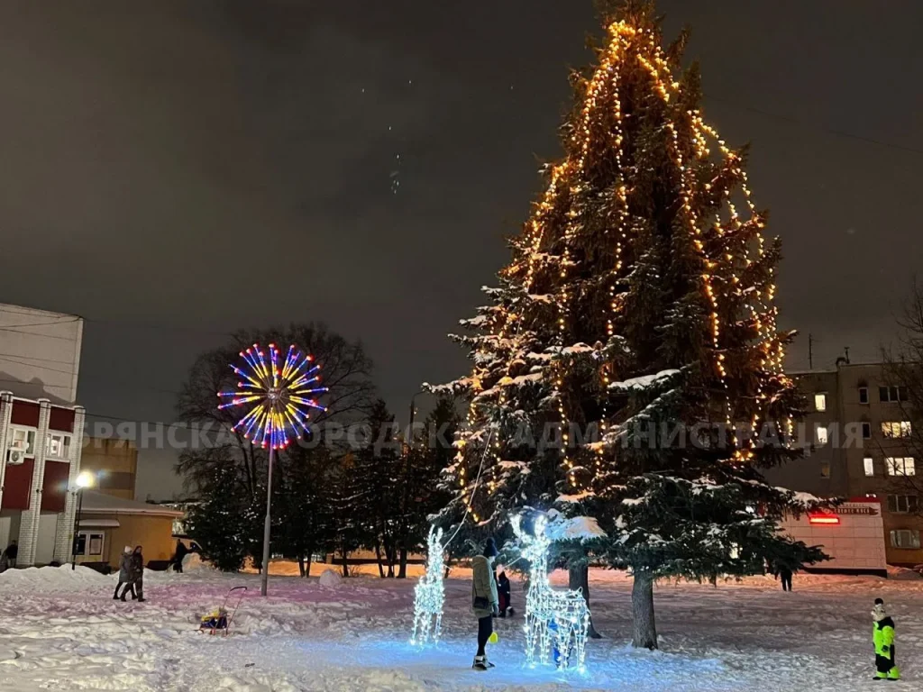 Жителям Брянской области рассказали о «самой вероятной» погоде в новогоднюю ночь