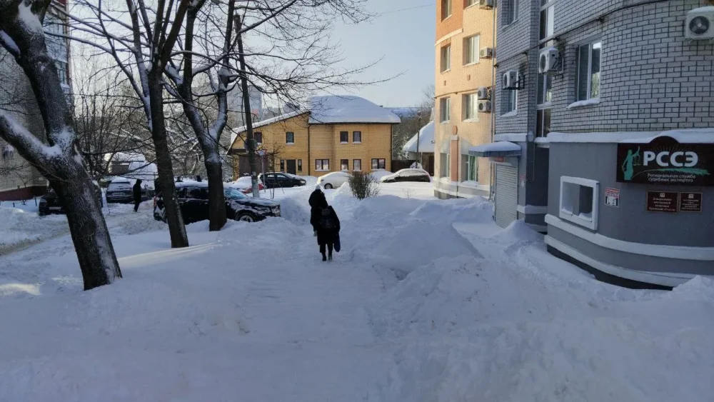 Сотрудники брянского департамента внутренней политики взялись за лопаты