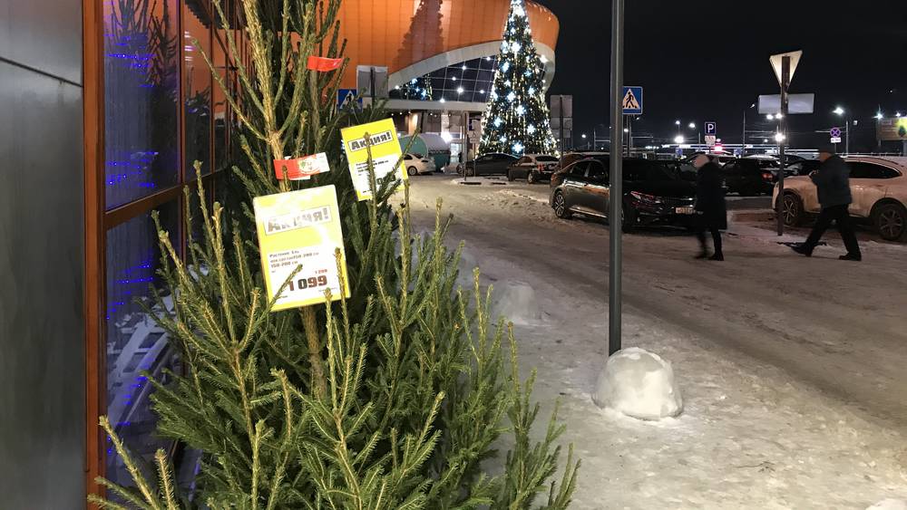 Налетай, торопись: жителям Брянска предложили новогодние елочки по 18 тысяч