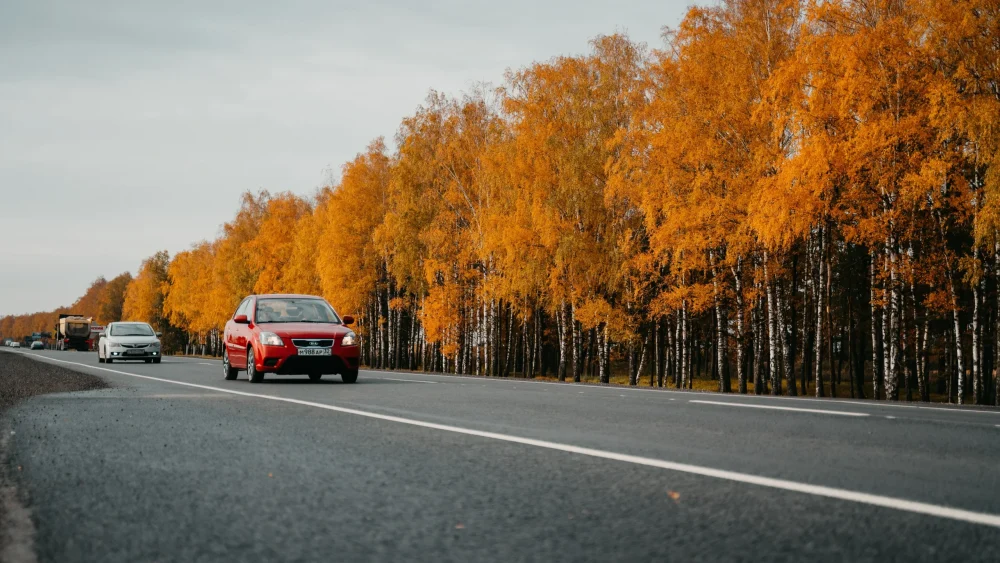 В Брянской области в 2023 года привели к нормативам 77 километров федеральных дорог