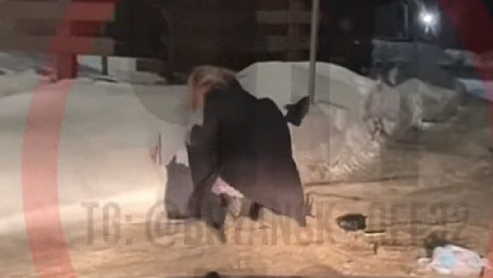 В Брянске на Рославльской сняли видео драки двух женщин