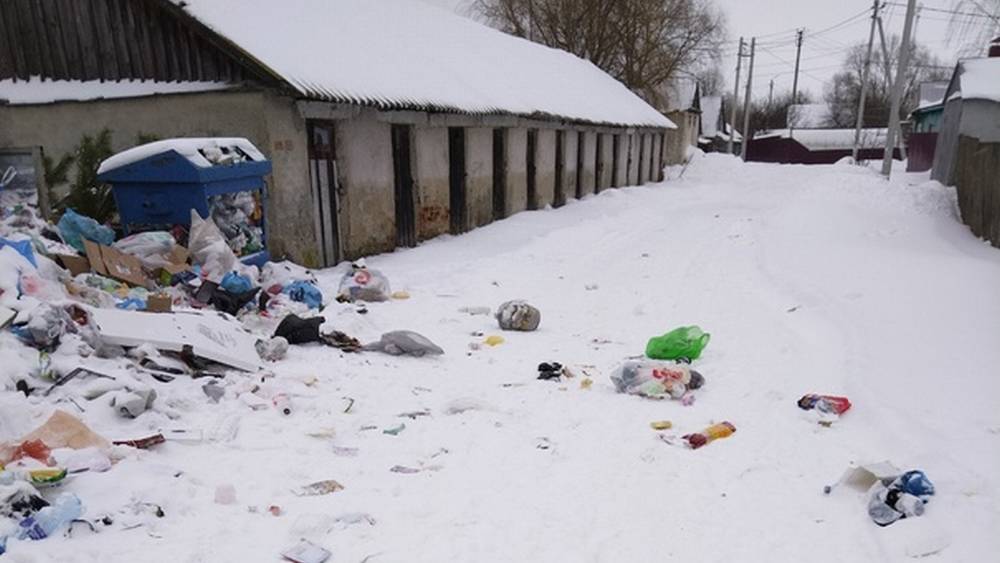 Мусорный монополист вызвал гнев жителей Брянской области