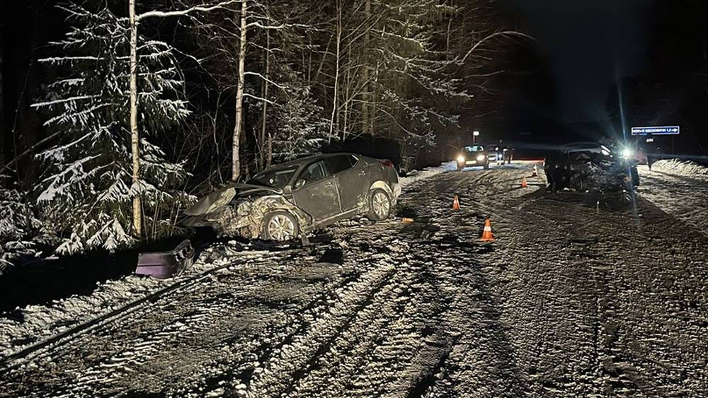 В ДТП под Жуковкой по вине 19-летнего водители пострадали три человека