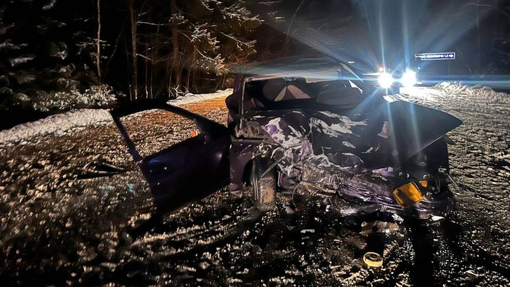 В ДТП под Жуковкой по вине 19-летнего водители пострадали три человека
