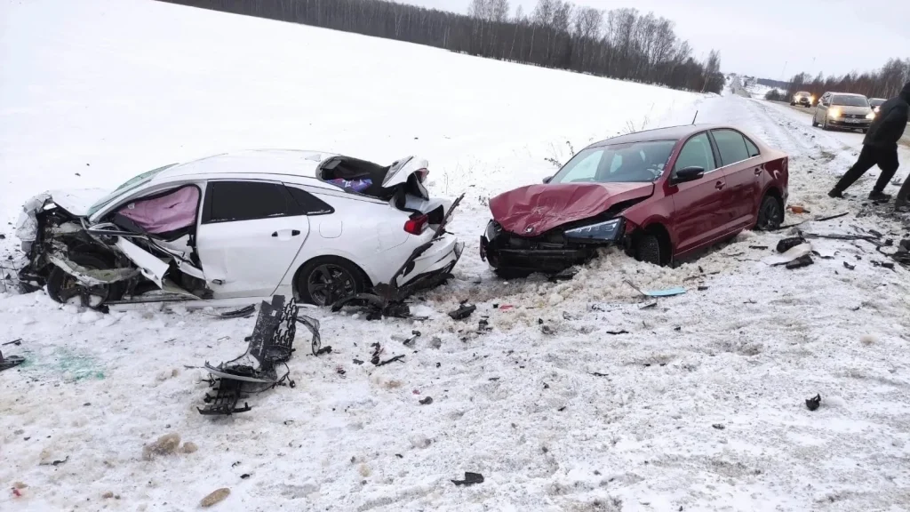 В Брянской области пройдет снег при 2 градусах тепла 10 декабря