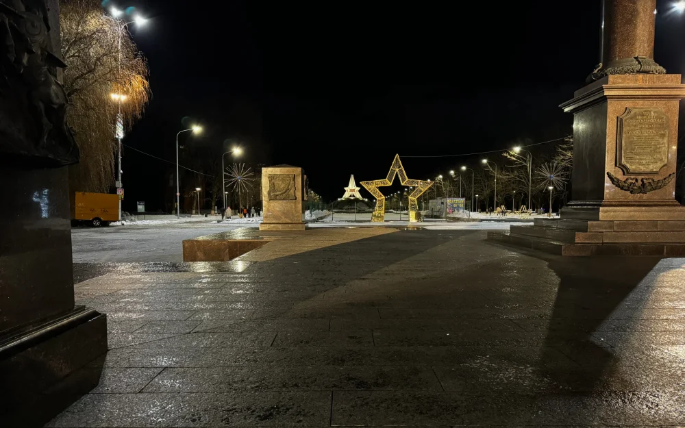 В новогоднюю ночь жителей Брянска удивила одинокая елка на Кургане Бессмертия